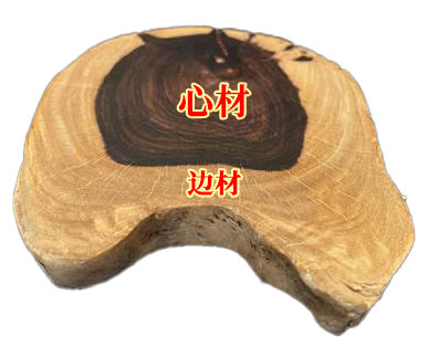 小葉紫檀原木橫截面