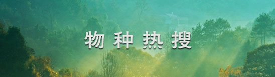 物種熱搜
